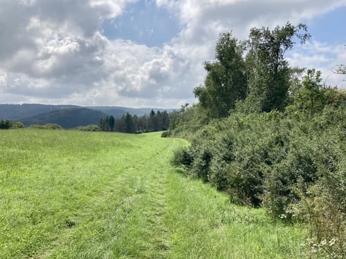 Wanderweg D2 (Datzeroth)