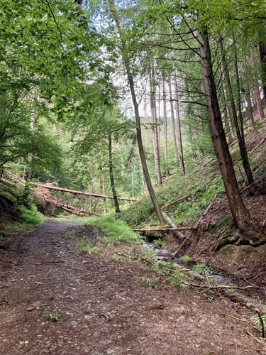 Wanderweg D2 (Datzeroth)