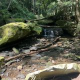 Slippery Rock Gorge Trail, Pennsylvania - 1,208 Reviews, Map | AllTrails