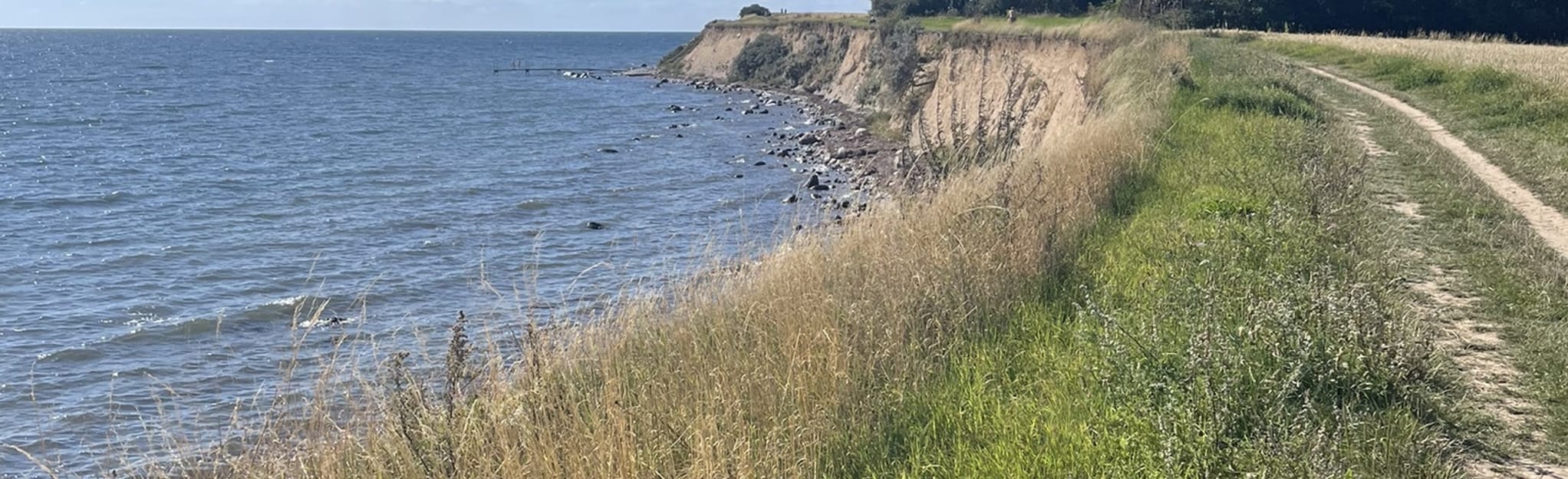 Enø Loop: 68 Reviews, Map - Zealand, Denmark | AllTrails