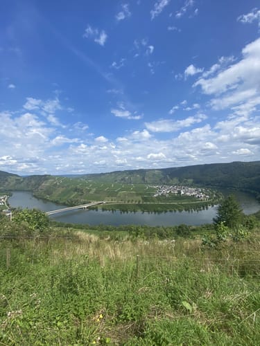 Rund um Zimmet - Moselwanderung in Piesport
