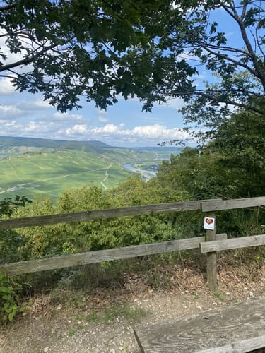 Rund um Zimmet - Moselwanderung in Piesport