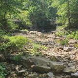 Twin Falls Trail, Arkansas - 284 Reviews, Map | AllTrails