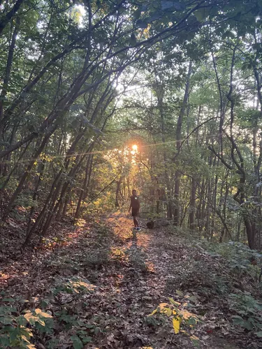 2023 Best Forest Trails in Mount Holly Springs AllTrails