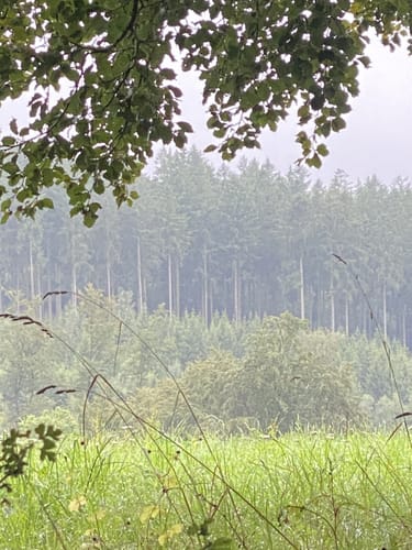 EifelSchleife Kronenburger Himmelsglück