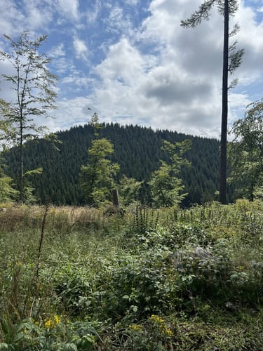 Rund um den Kahlen Asten