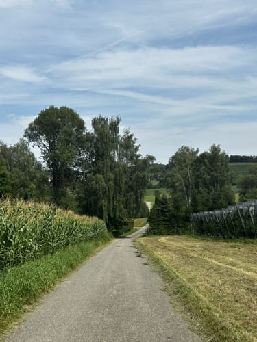 B1 - Durch die Brunnachniederung
