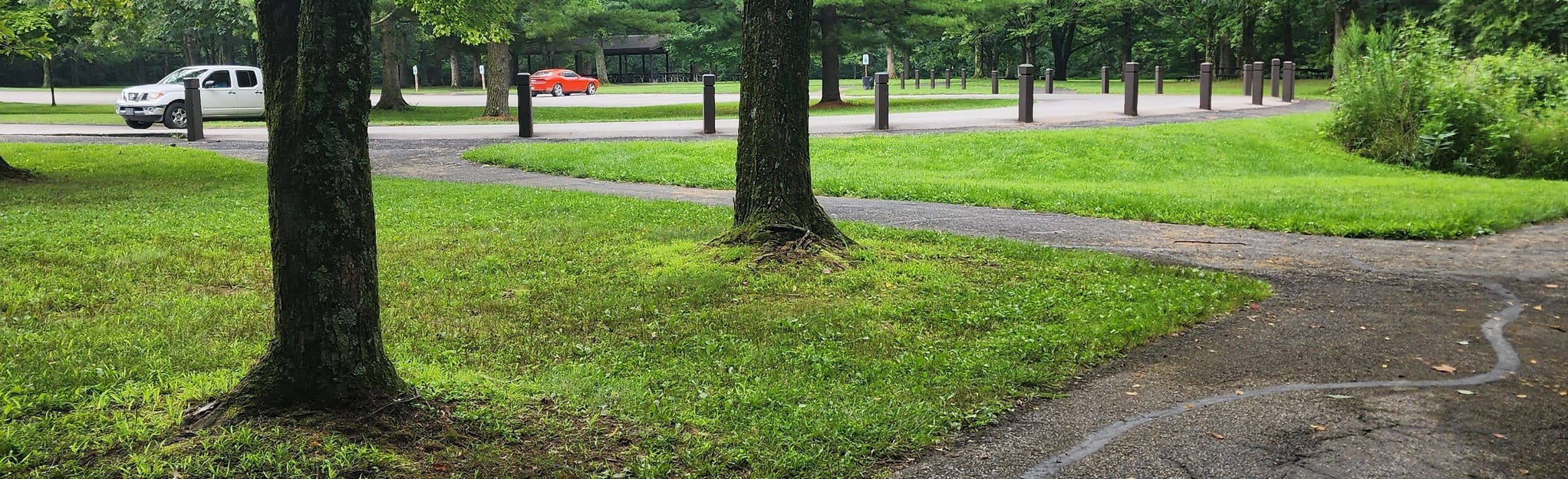 Five Oaks Trail Loop, Ohio 331 Reviews, Map AllTrails