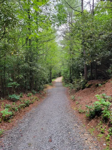10 Best Trails and Hikes in Cedar Mountain | AllTrails
