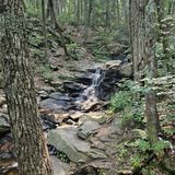 Big Rock Nature Trail , Georgia - 350 Reviews, Map | AllTrails