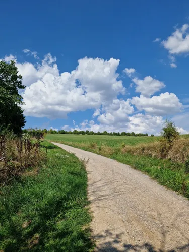 10 Best Forest Trails in Chráněná Krajinná Oblast (CHKO) Český kras ...