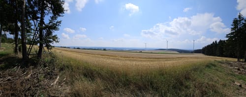 Runde in Schönwald
