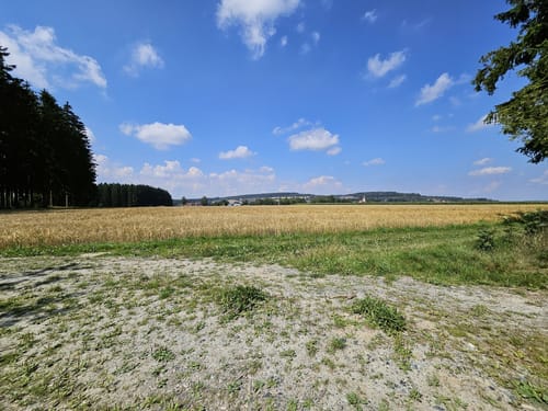 Runde in Schönwald