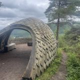 Pine Cone Point walk in Perthshire - Full Stop Next Chapter
