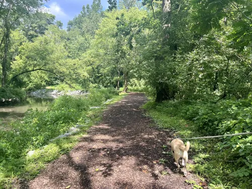 Best Hikes and Trails in Quittie Creek Nature Park | AllTrails