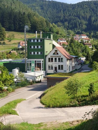 Runde bei Hornberg