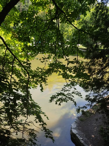 Aacher Geißbock (Premiumwanderweg)