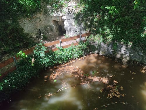 Aacher Geißbock (Premiumwanderweg)