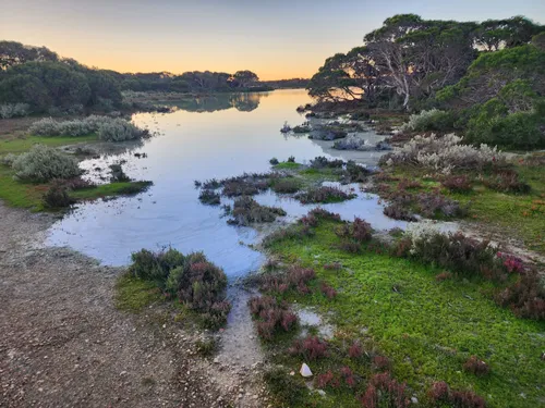 Best Bird Watching Trails in Coorong National Park | AllTrails