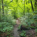 Patriots Path, New Jersey - 79 Reviews, Map | AllTrails