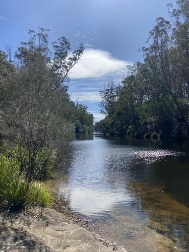 Best Hikes and Trails in Simmos Beach Recreation Reserve | AllTrails