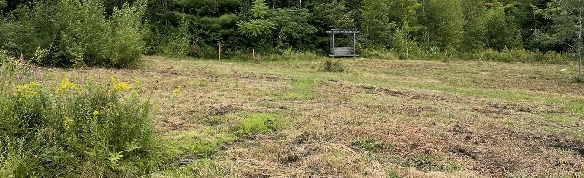 Intervale Red, Blue, and Purple Trails 4 Reviews, Map Maine AllTrails