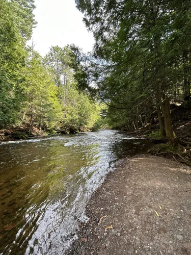 2023 Best River Trails in Trout Creek | AllTrails