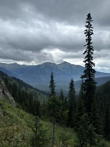 Best Hikes and Trails in Evanoff Provincial Park AllTrails