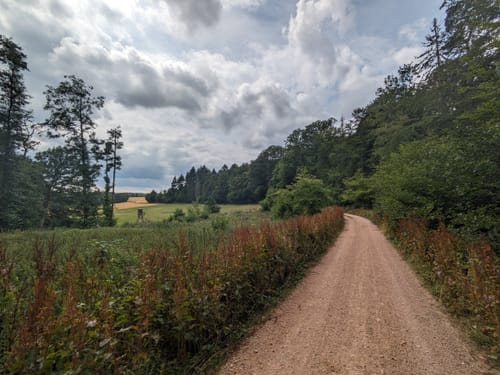 Von Wingsbach um dem Hopfenstein