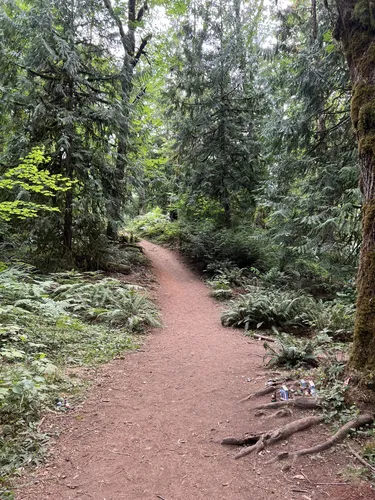 10 Best Walking Trails in Maple Valley | AllTrails