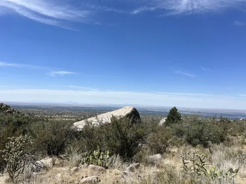 2023 Best Wild Flowers Trails in Elena Gallegos Picnic Area/Albert G ...