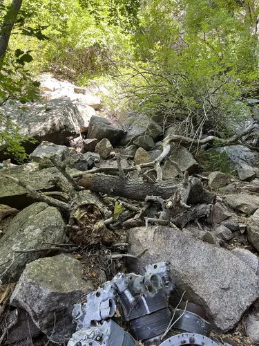 2023 Best Wild Flowers Trails in Elena Gallegos Picnic Area/Albert G ...