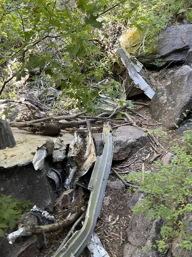 2023 Best Wild Flowers Trails in Elena Gallegos Picnic Area/Albert G ...