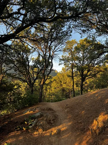 2023 Best Wild Flowers Trails in Elena Gallegos Picnic Area/Albert G ...
