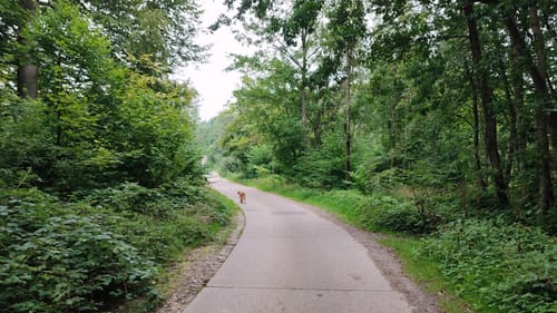 Fleckeby - Güby - Borgwedel