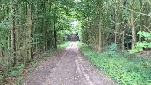 Fleckeby - Güby - Borgwedel