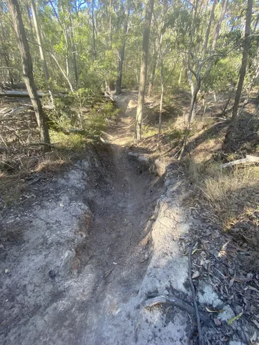 Toogoom discount bike trails