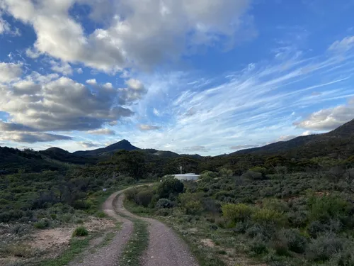 Best Hikes and Trails in Mount Brown Conservation Park AllTrails