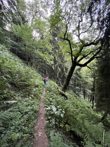 Via Alpina Violetter Weg, Etappe 61 : Linderhof - Kenzenhütte