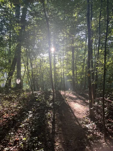 Best Hikes and Trails in Panther Branch Natural Area | AllTrails