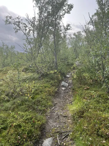 10 Best Hikes and Trails in Abisko National Park