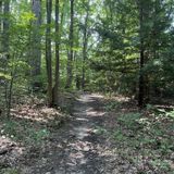 Slippery Rock Gorge Trail, Pennsylvania - 1,215 Reviews, Map | AllTrails