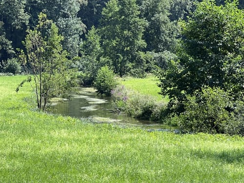 Höhlenwanderung: Romantischer Wanderweg Muggendorf