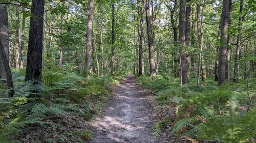 Boucle du Bois de la Tour du Lay : 11 Photos - Val-d'Oise ...