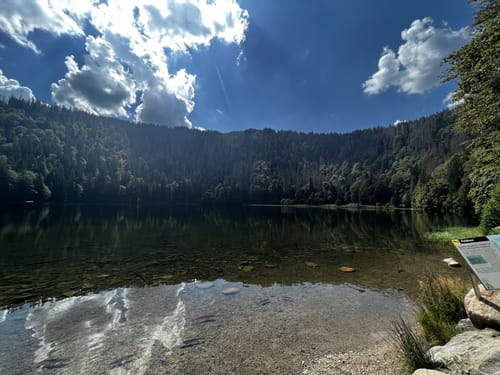 Caritashaus-Feldsee-Rundweg