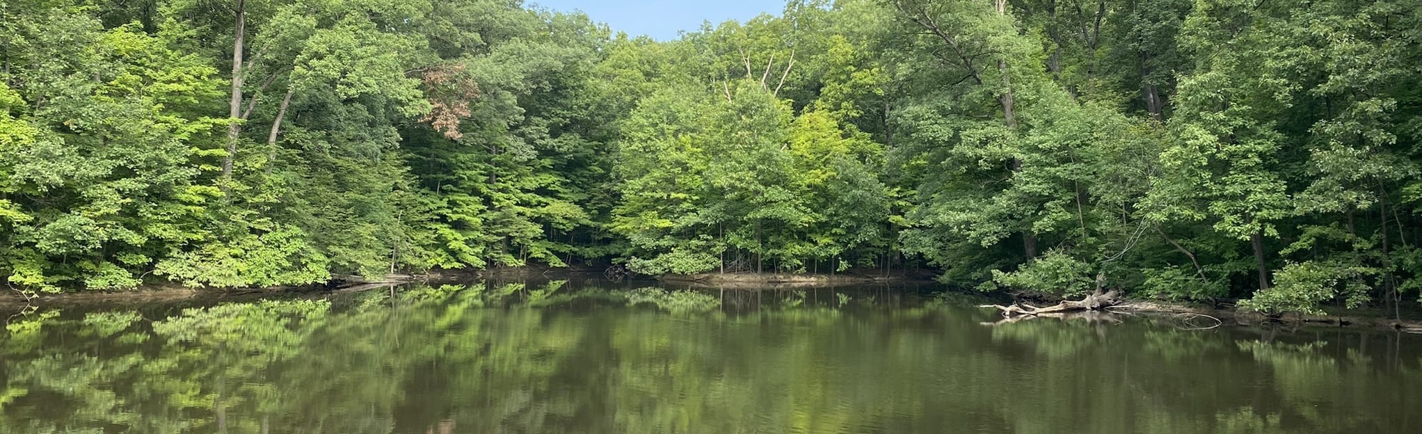 Path of Reflection Loop: 71 Reviews, Map - Indiana | AllTrails