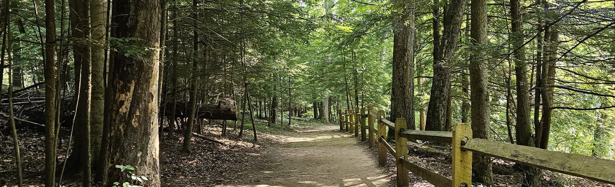 Old Man's Cave and Naturalist Cabin Loop 579 Reviews, Map Ohio