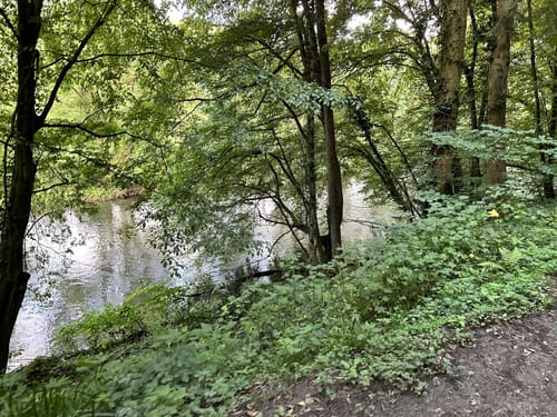 Von Hilden zur Sengbachtalsperre