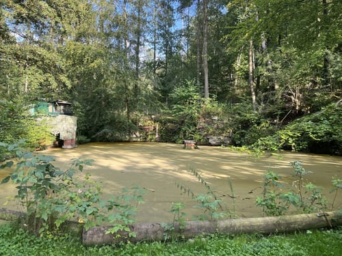 Habichtswaldsteig H6: Im Tal der Quellen (Extratour)
