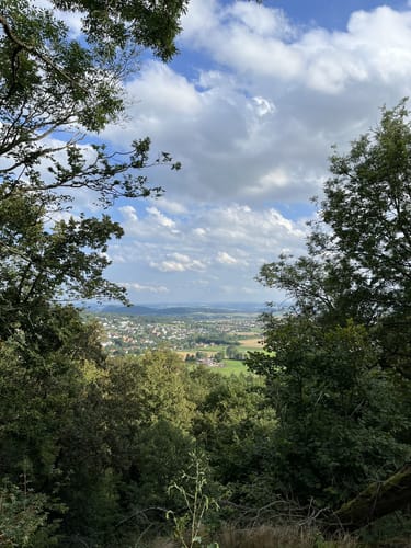 Habichtswaldsteig H6: Im Tal der Quellen (Extratour)